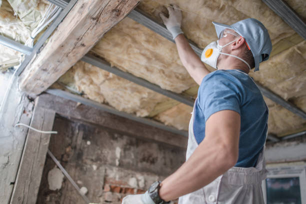 Best Attic Insulation Installation  in Midway, AR