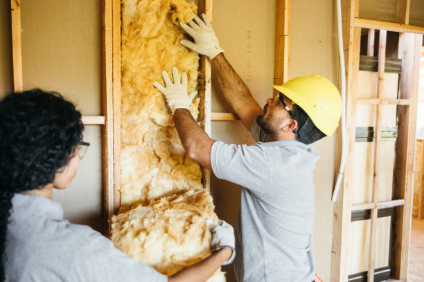 Insulation Repair Services in Midway, AR