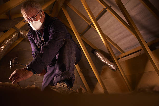 Best Attic Insulation Installation  in Midway, AR